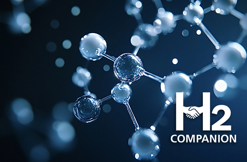 H2 Companion