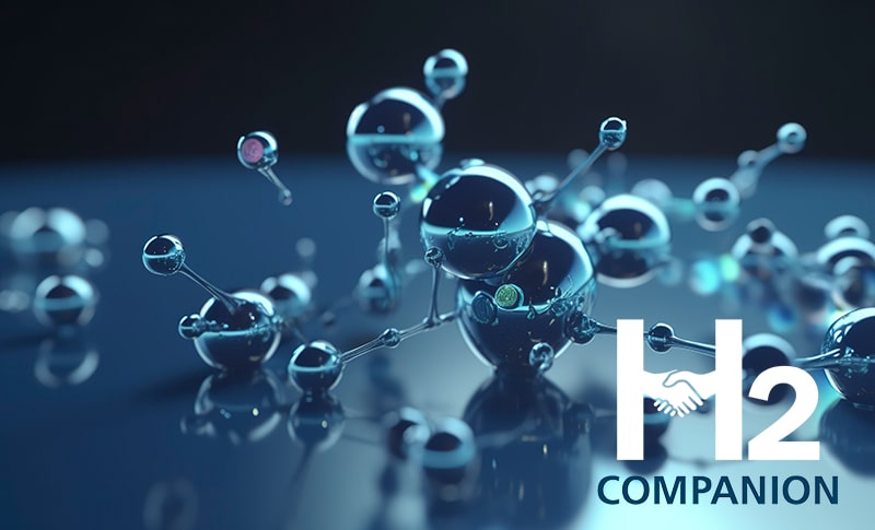 H2 Companion