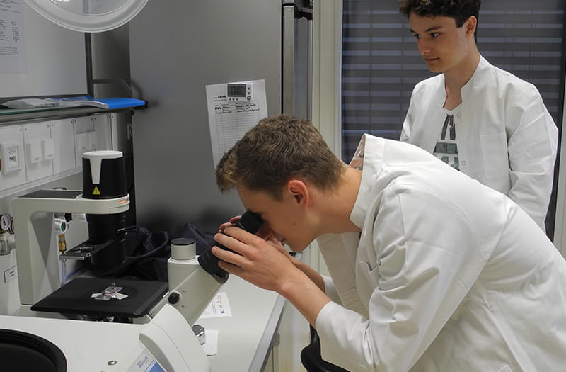 Zentrum für Nanoanalytik