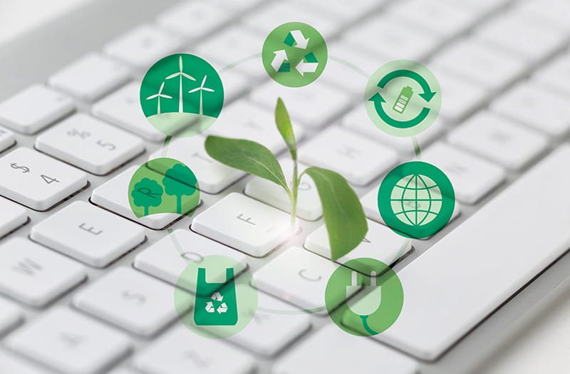 Transferzentrum Industrielle Bioökonomie