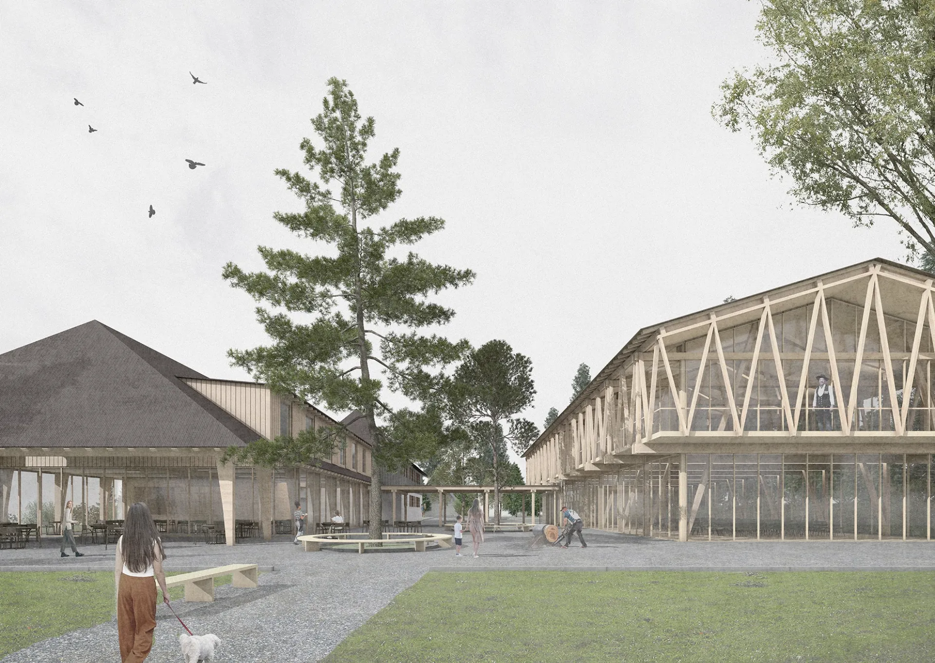 Zentrum Holzbau